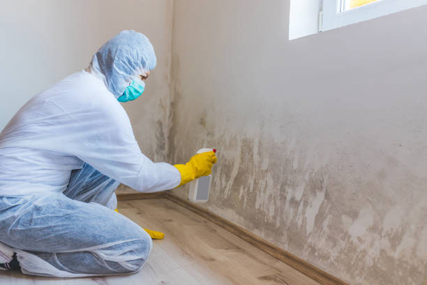 Hvac And Air Duct Mold Remediation inspection of HVAC system in Vauxhall